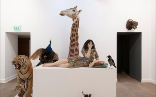  Deuil pour deuil Faïence de Serena Carone et pièces de la collection d’animaux naturalisés de Sophie Calle.
